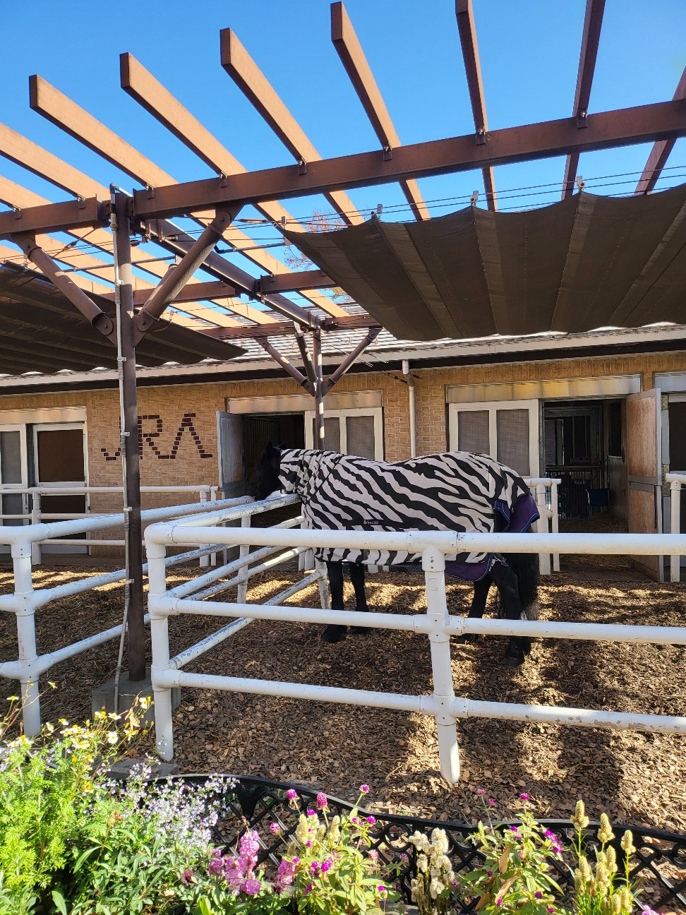 f:id:norib:20251205235721j:image