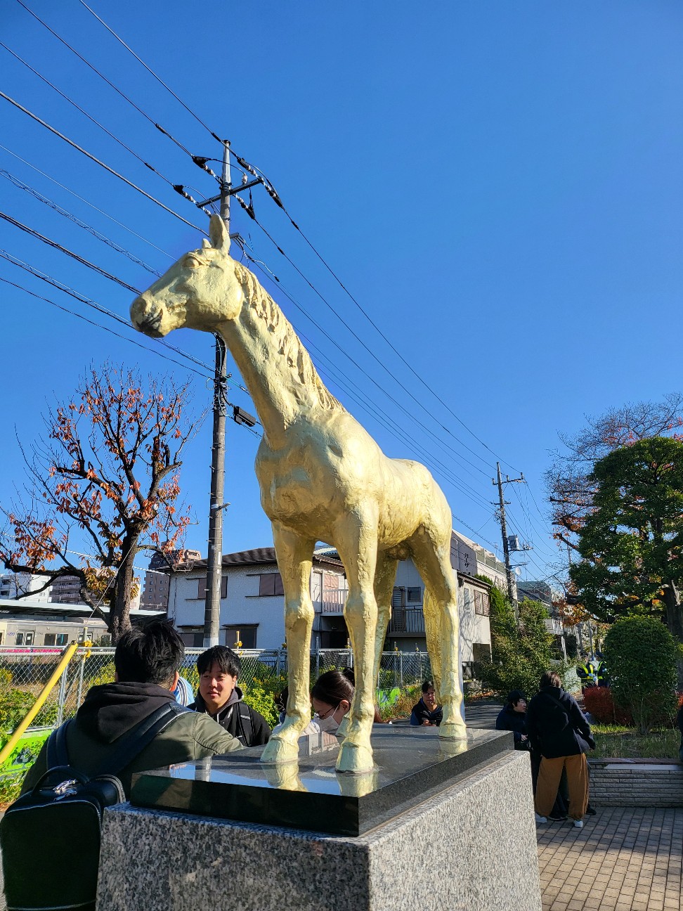 f:id:norib:20251213225451j:image