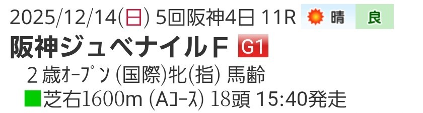 f:id:norib:20251213225500j:image