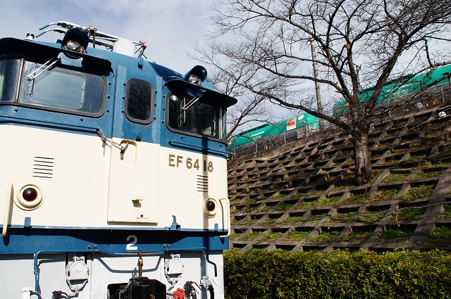 たけし化中 EF64とEF65の3種盛り たけし様 専用化中 EF64とEF65の3種盛り