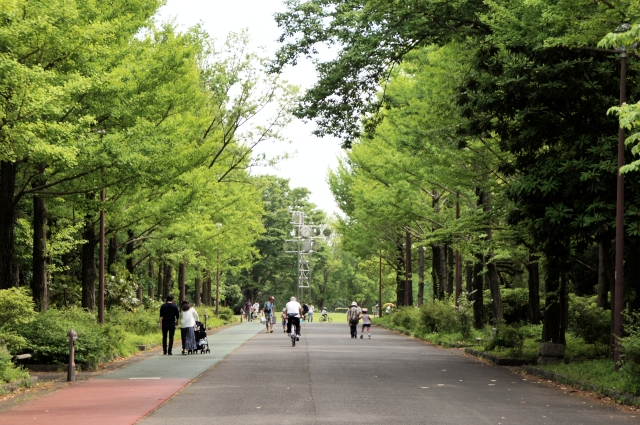 f:id:norichika583:20180430221438j:plain