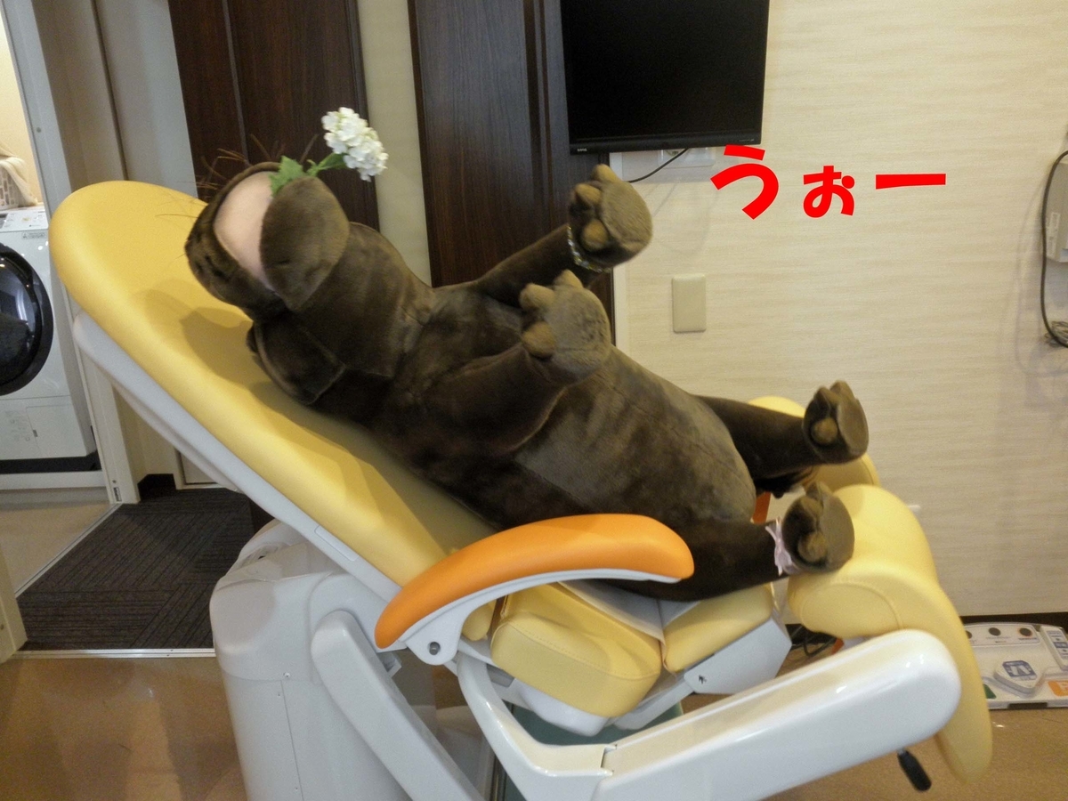 f:id:noricli:20260626102214j:plain f:id:noricli:20260626102214j:plain