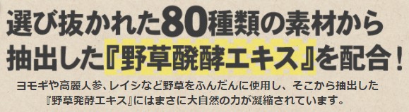 f:id:norider4444:20170517010458j:plain f:id:norider4444:20170517010458j:plain