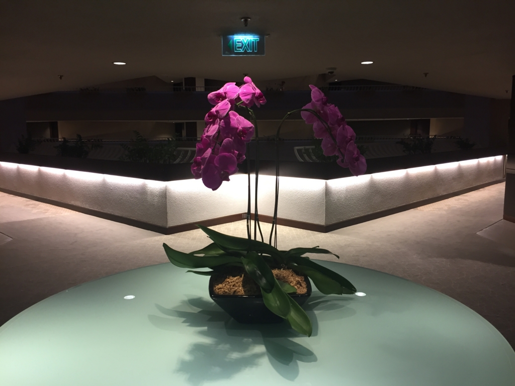 f:id:norijp01:20170215234043j:plain f:id:norijp01:20170215234043j:plain