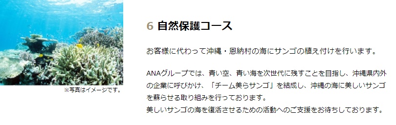 f:id:norijp01:20180113100946j:plain f:id:norijp01:20180113100946j:plain