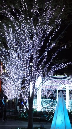 f:id:noriko55:20111125183221j:image