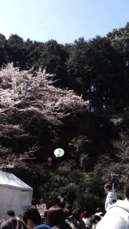 f:id:noriko55:20120401110015j:image