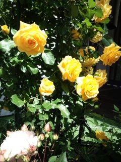 f:id:noriko55:20140423122611j:image f:id:noriko55:20140423122611j:image