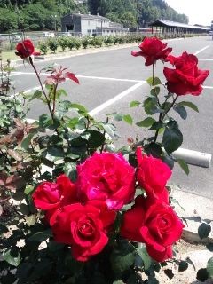 f:id:noriko55:20140524100347j:image