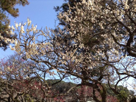 f:id:noriko55:20150224000742j:image f:id:noriko55:20150224000742j:image