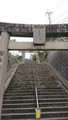 20190106015805