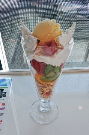 f:id:noriko55:20190511014632j:plain