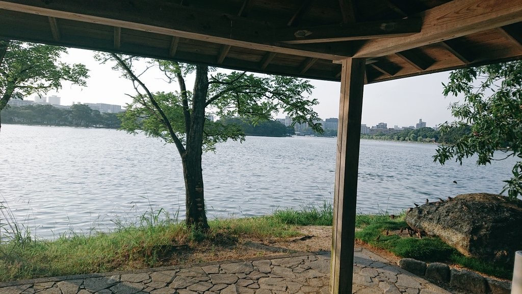 f:id:noriko55:20200805180110j:plain f:id:noriko55:20200805180110j:plain