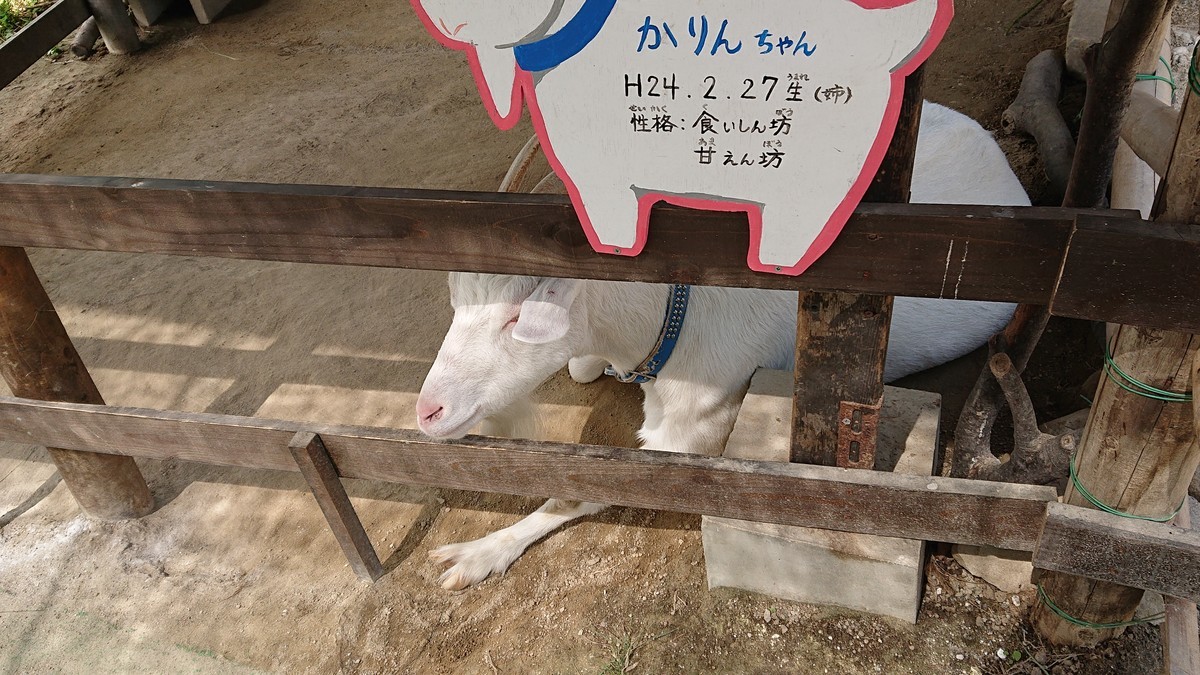f:id:noriko55:20200921121141j:plain