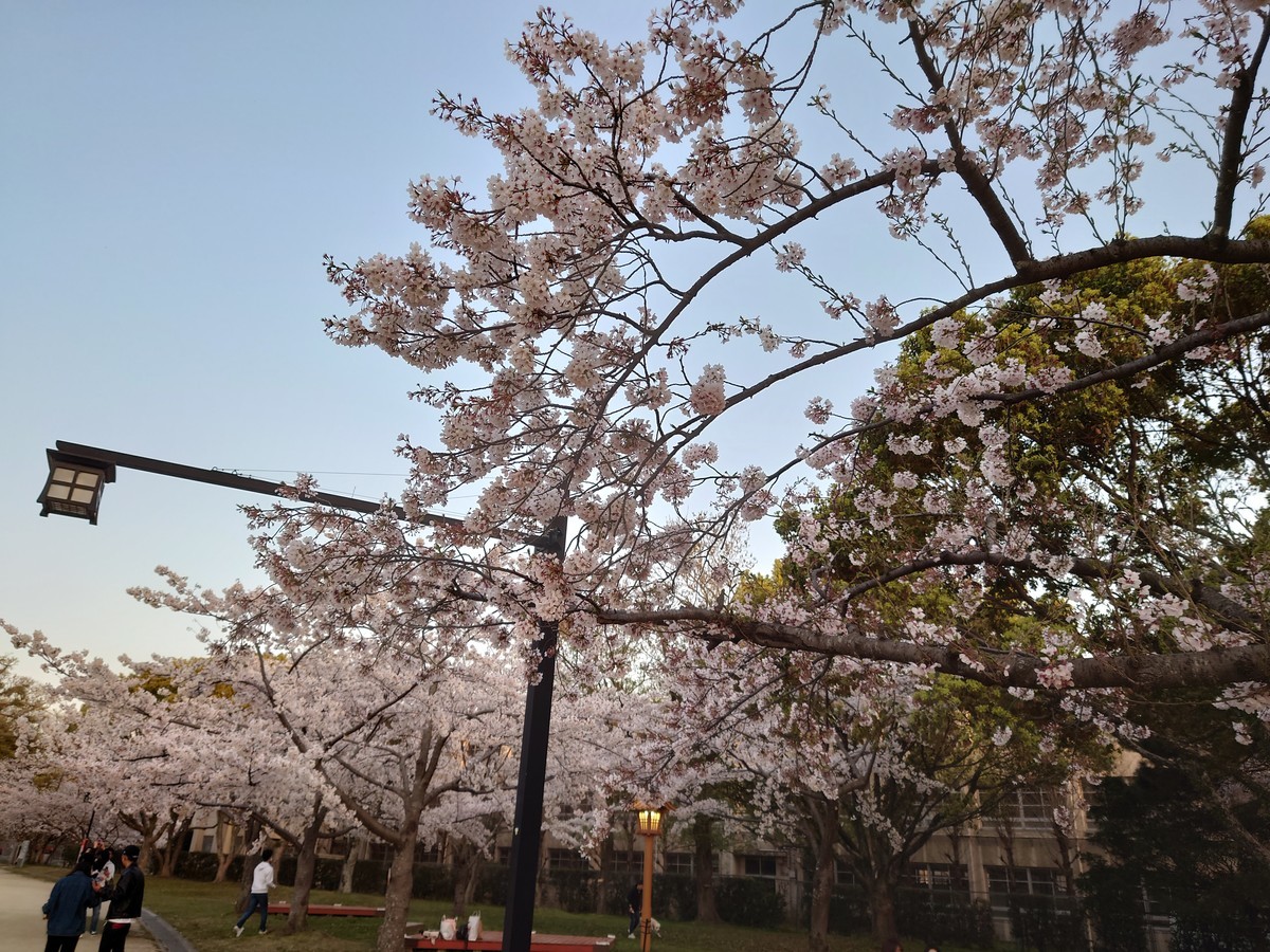 f:id:noriko55:20210323180858j:plain