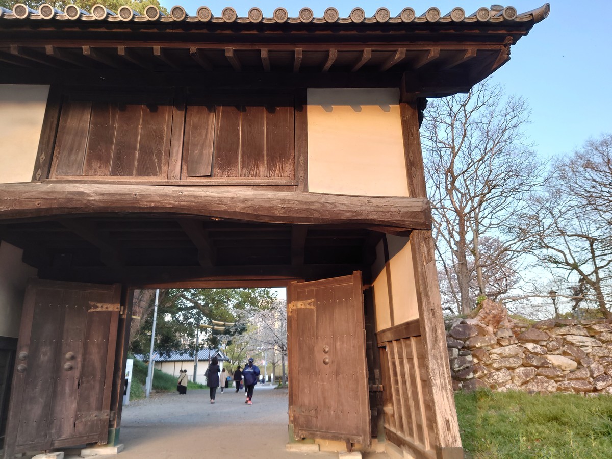 f:id:noriko55:20210323181037j:plain