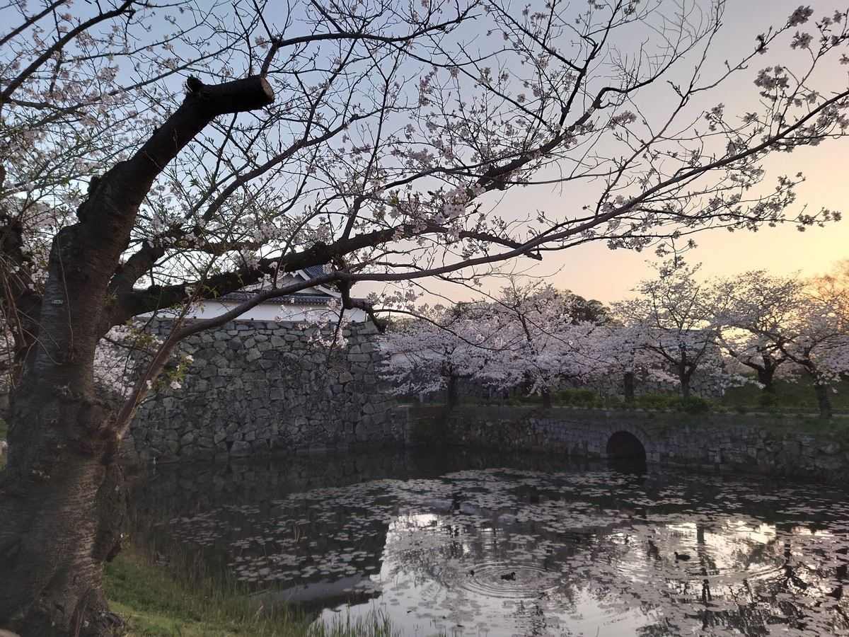 f:id:noriko55:20210323181449j:plain