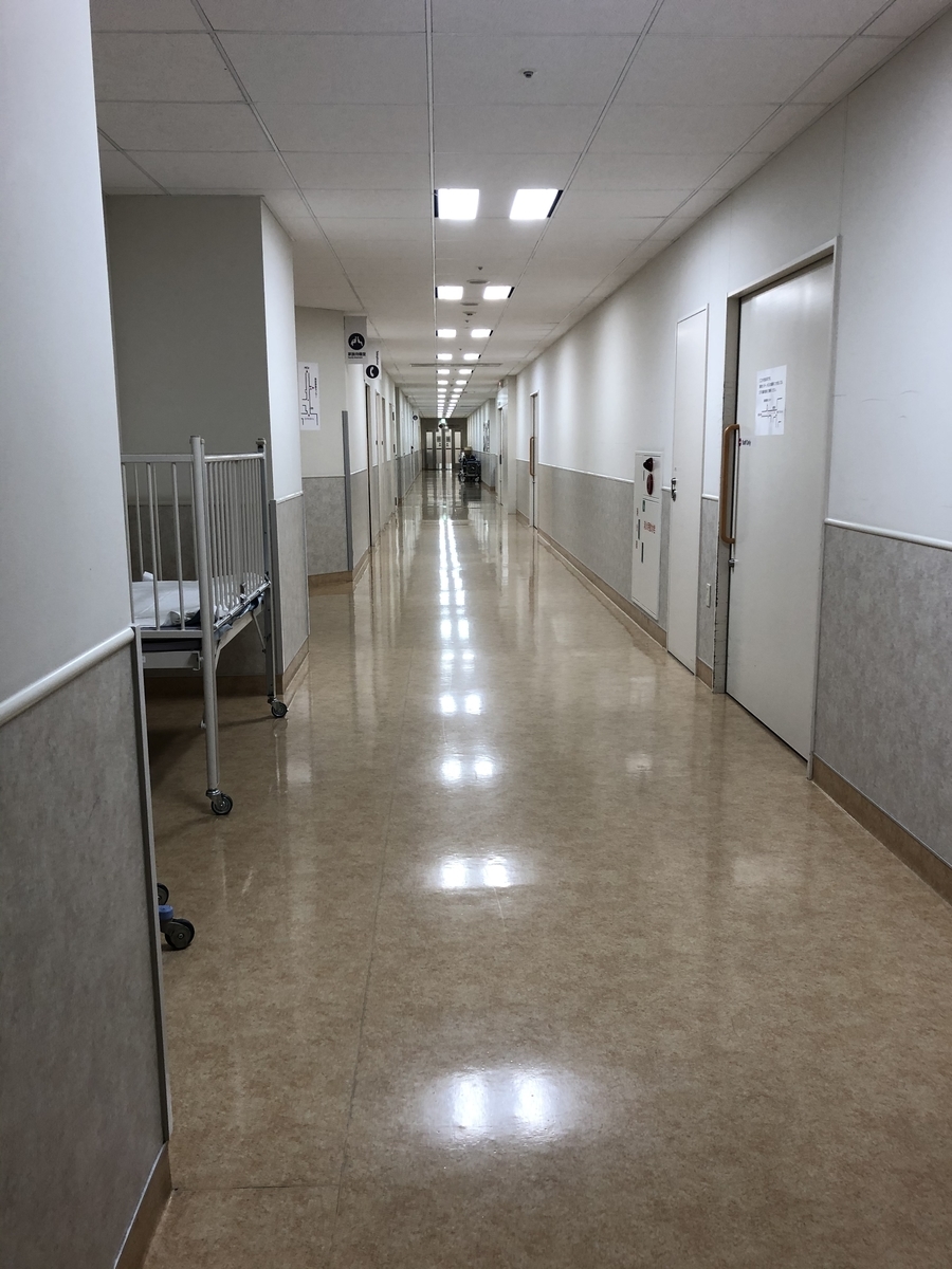 f:id:noriko_sasaki_flauta:20200216003226j:plain f:id:noriko_sasaki_flauta:20200216003226j:plain