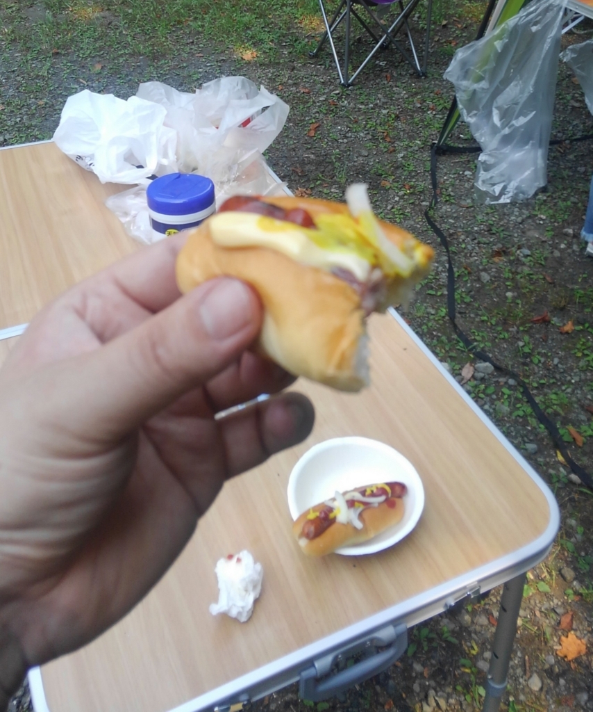 f:id:norily-okk:20170827150520j:plain f:id:norily-okk:20170827150520j:plain