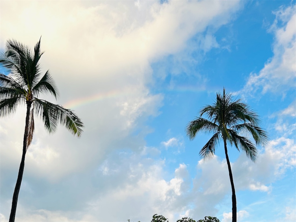 さよならハワイ アロハあるいは2