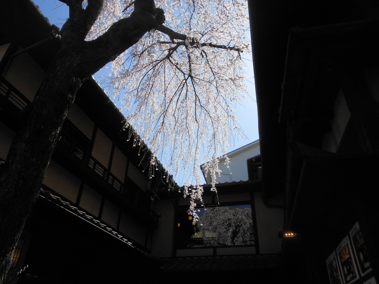 f:id:norimakihayate:20201220063406j:plain