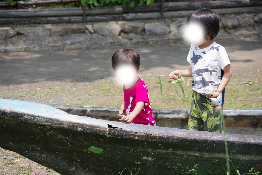 f:id:norinoridance:20190622215242j:plain f:id:norinoridance:20190622215242j:plain