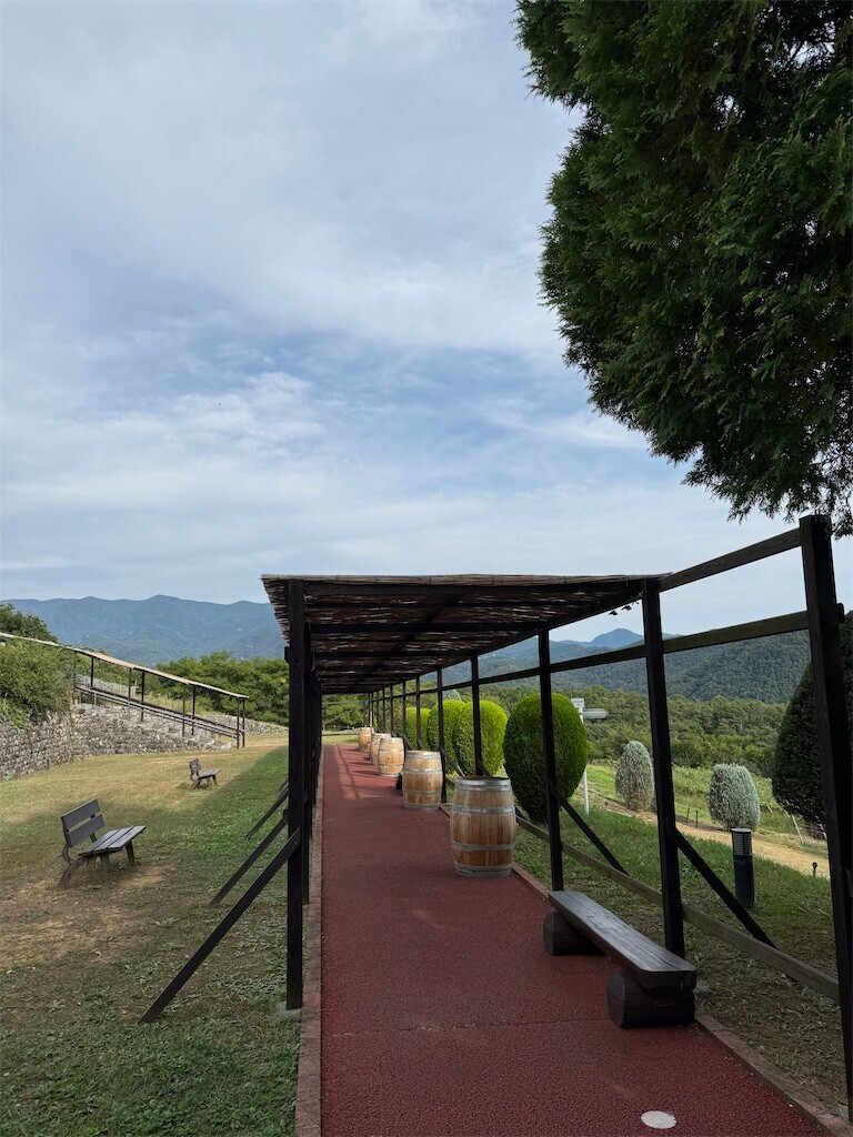 f:id:norio373:20251012211416j:image