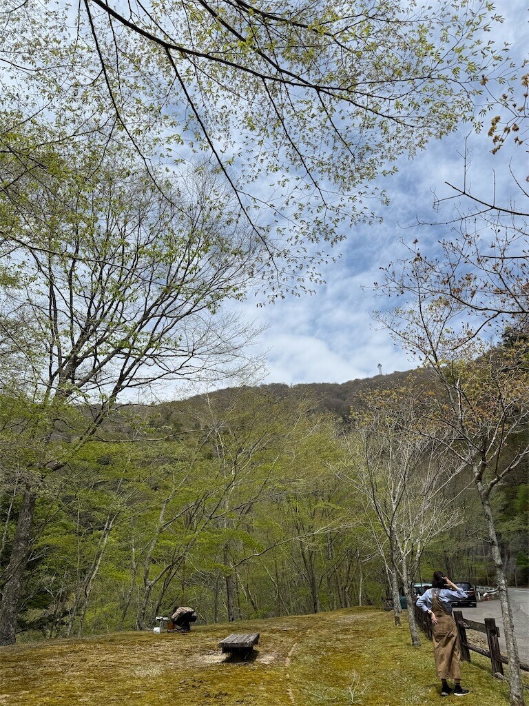 f:id:norio373:20260429175214j:image f:id:norio373:20260429175214j:image