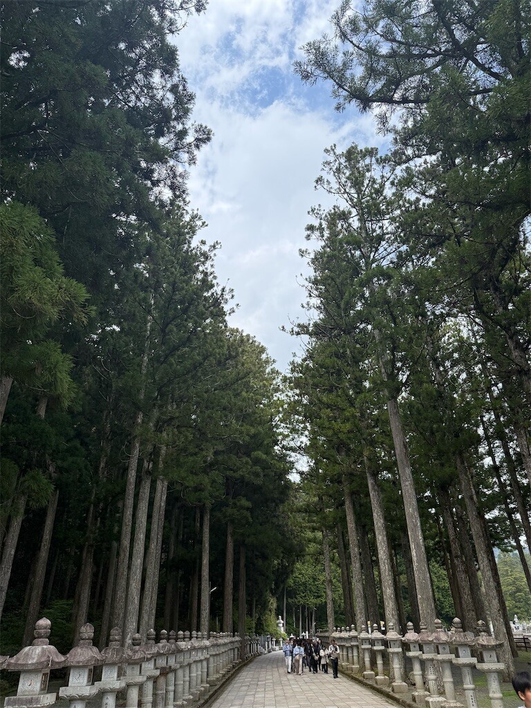 f:id:norio373:20260429175300j:image f:id:norio373:20260429175300j:image