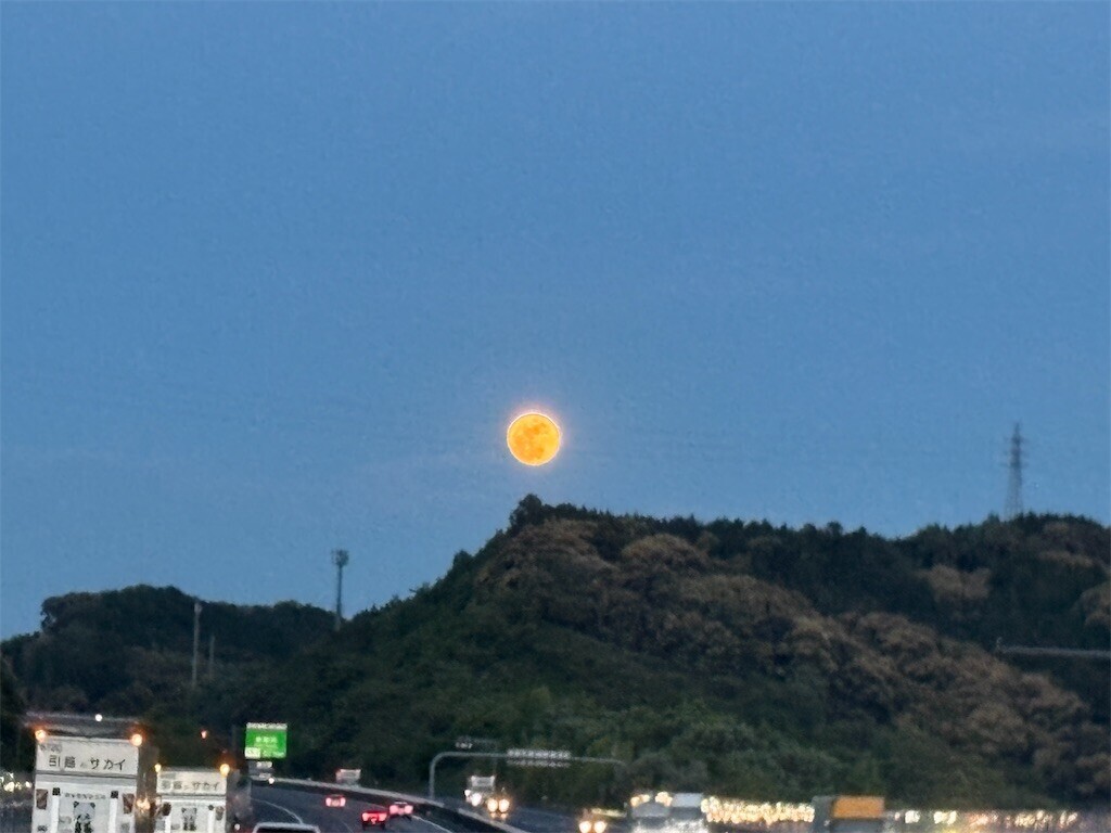 f:id:norio373:20260706174624j:image