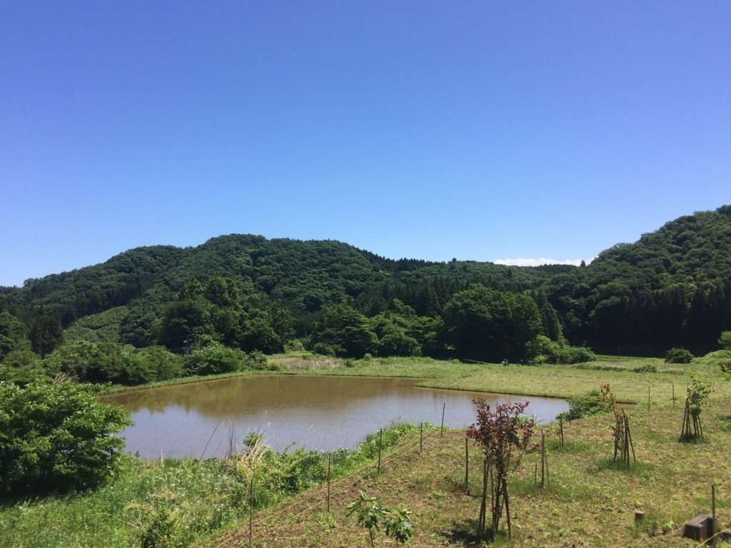 f:id:norioishiwata:20180522123834j:plain f:id:norioishiwata:20180522123834j:plain