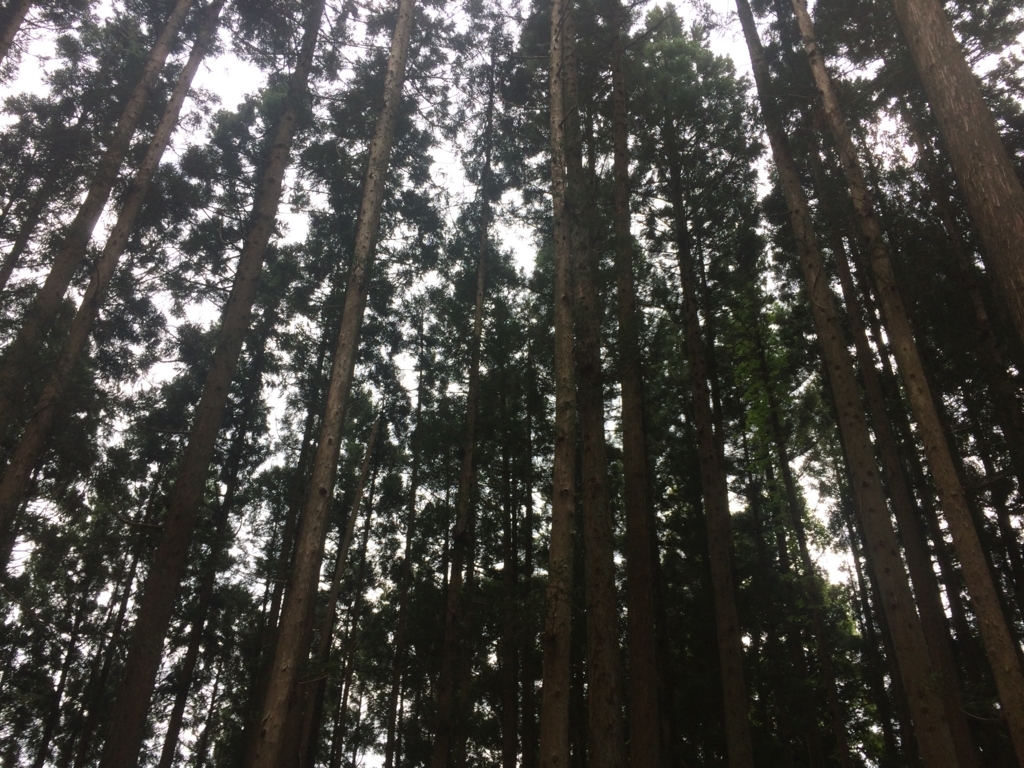 f:id:norioishiwata:20180527110314j:plain f:id:norioishiwata:20180527110314j:plain