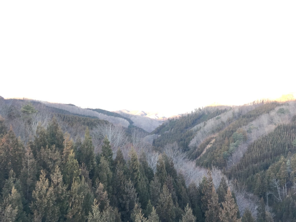 f:id:norioishiwata:20190124231926j:plain f:id:norioishiwata:20190124231926j:plain