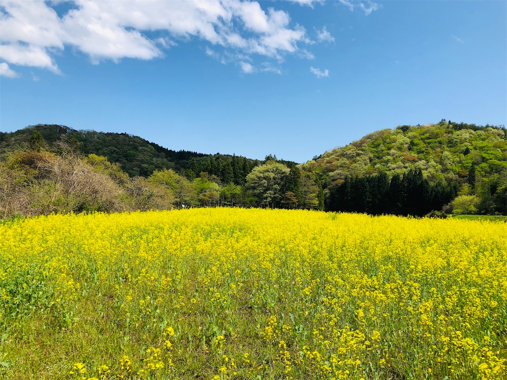 f:id:norioishiwata:20220425221442j:image f:id:norioishiwata:20220425221442j:image