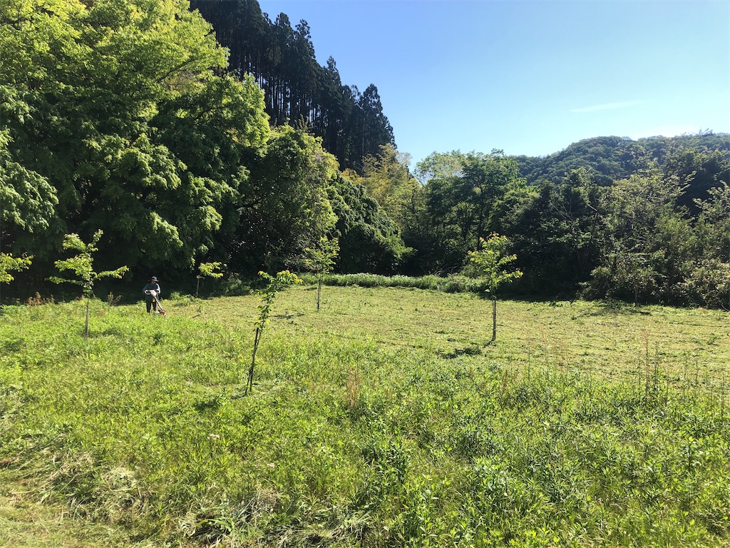 f:id:norioishiwata:20220511181137j:image f:id:norioishiwata:20220511181137j:image