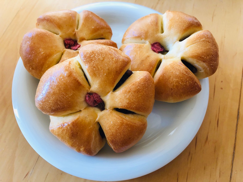 f:id:noriopiano:20190117185745j:plain f:id:noriopiano:20190117185745j:plain