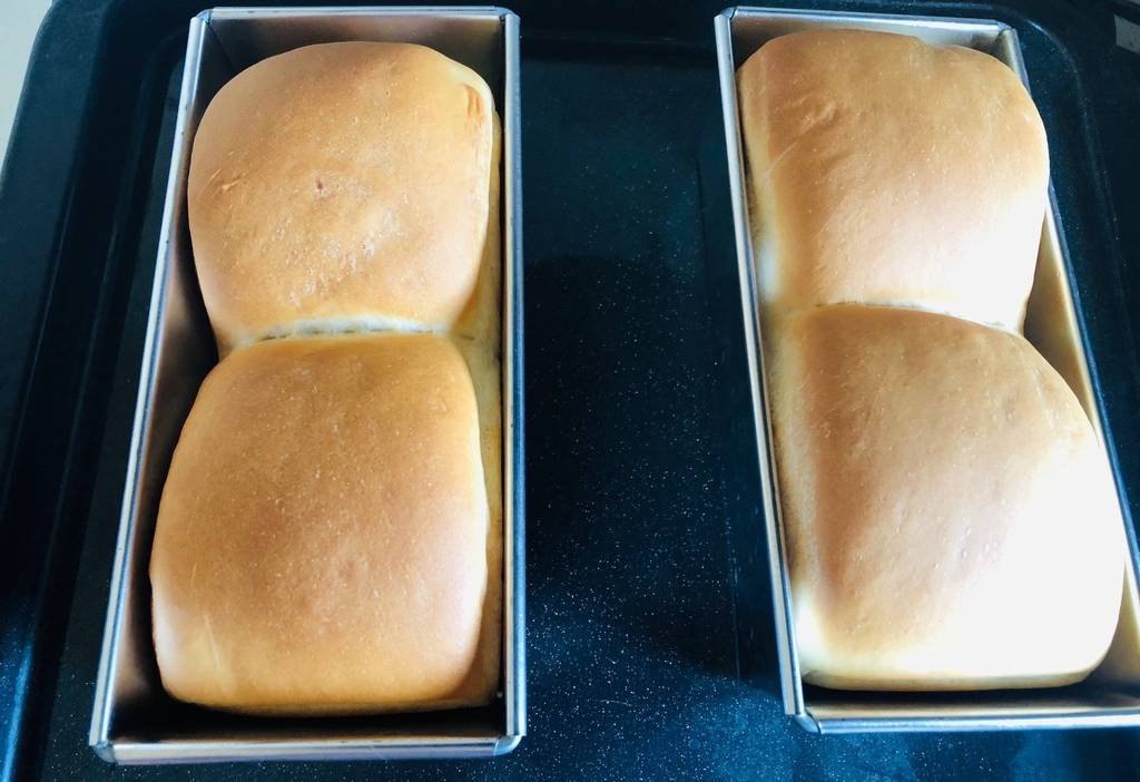f:id:noriopiano:20190211132033j:plain
