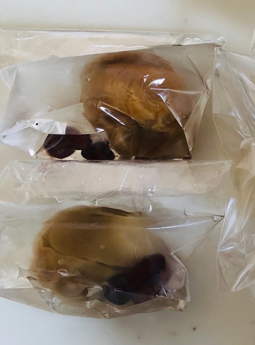 f:id:noriopiano:20190821135938j:plain f:id:noriopiano:20190821135938j:plain