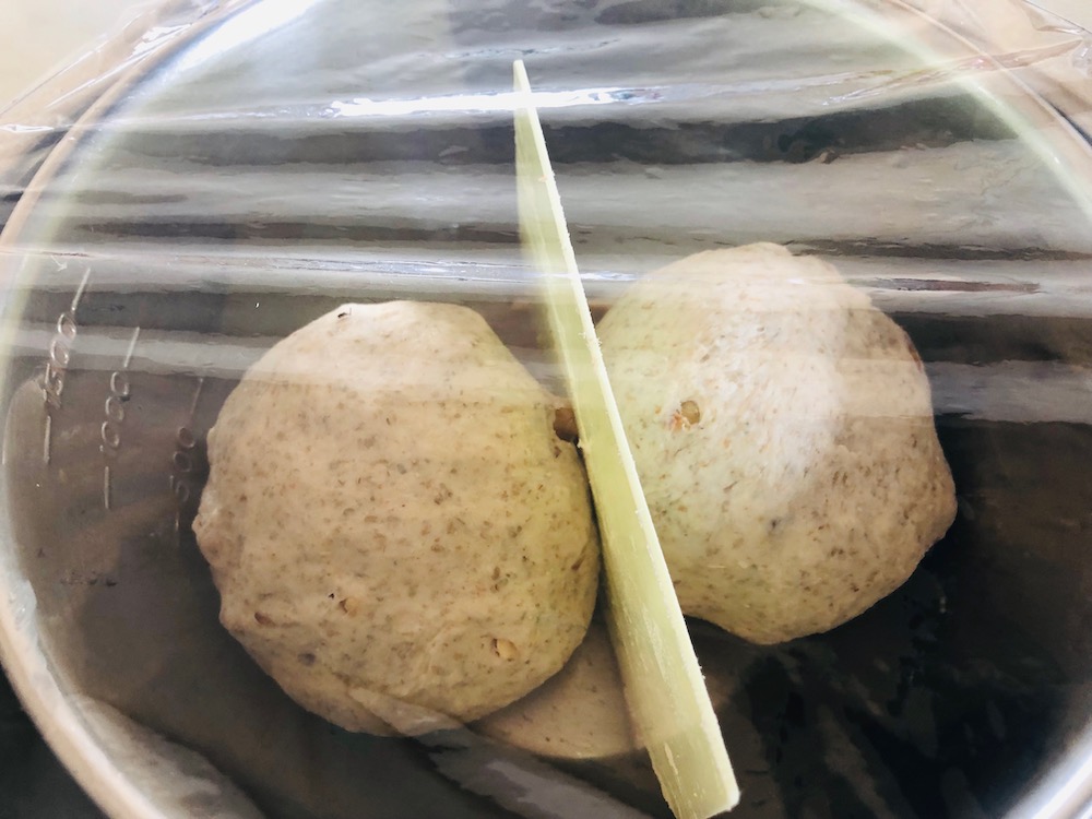 f:id:noriopiano:20190910150056j:plain f:id:noriopiano:20190910150056j:plain
