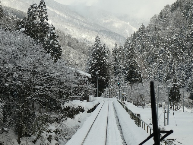 f:id:noririn3103:20190201164205j:plain