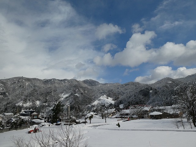 f:id:noririn3103:20190201164726j:plain