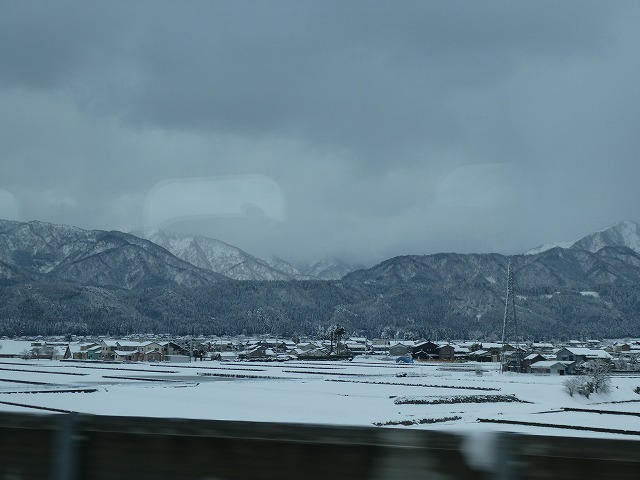 f:id:noririn3103:20190201203827j:plain
