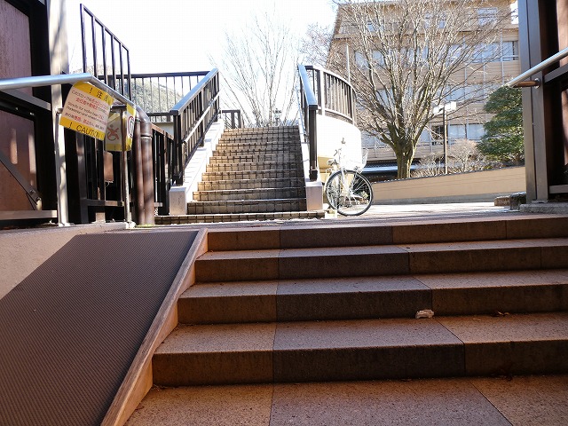 f:id:noririn3103:20190202101516j:plain