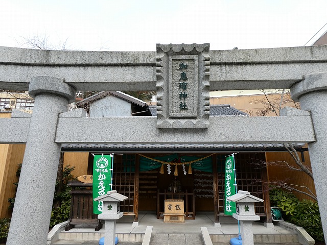 f:id:noririn3103:20190202123749j:plain