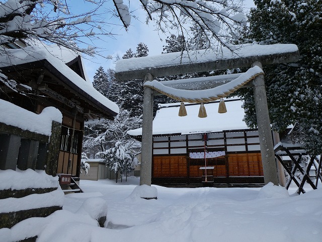 f:id:noririn3103:20190203114517j:plain