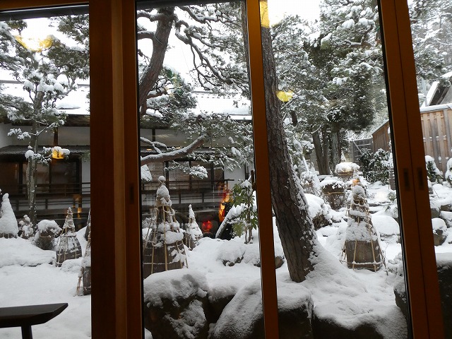 f:id:noririn3103:20190203120202j:plain