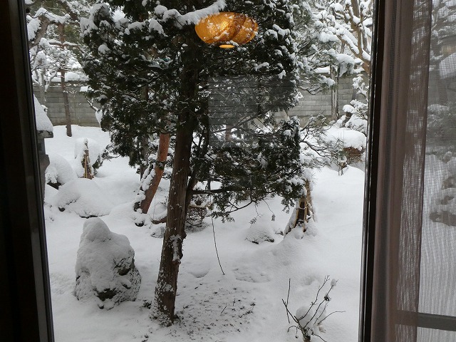 f:id:noririn3103:20190203154659j:plain