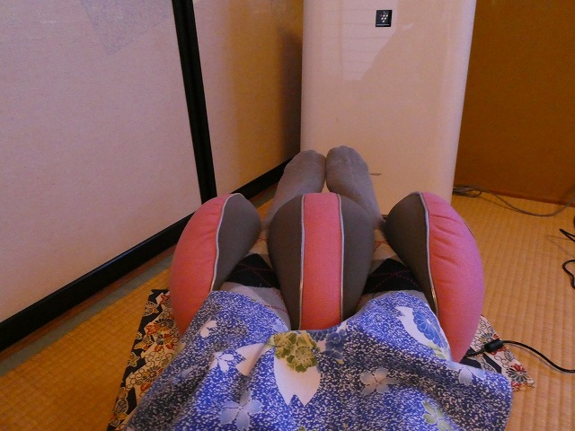 f:id:noririn3103:20190205115912j:plain