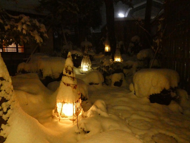 f:id:noririn3103:20190205145440j:plain