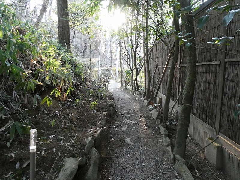 f:id:noririn3103:20190316173411j:plain